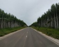 Odin House: отзыв от Danil2699