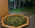Sviyaga glamp: отзыв от Тая Федорова