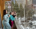 Family Alley: отзыв от Гульсум Шакирова