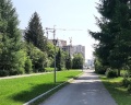 Дендропарк: отзыв от BRAZZLLY