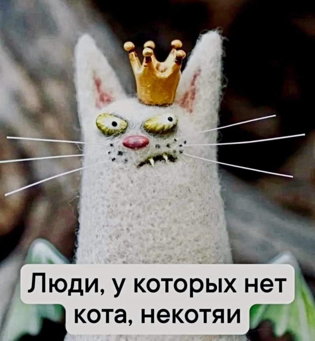 Нет кота некотяи. Нет кота некотяи
