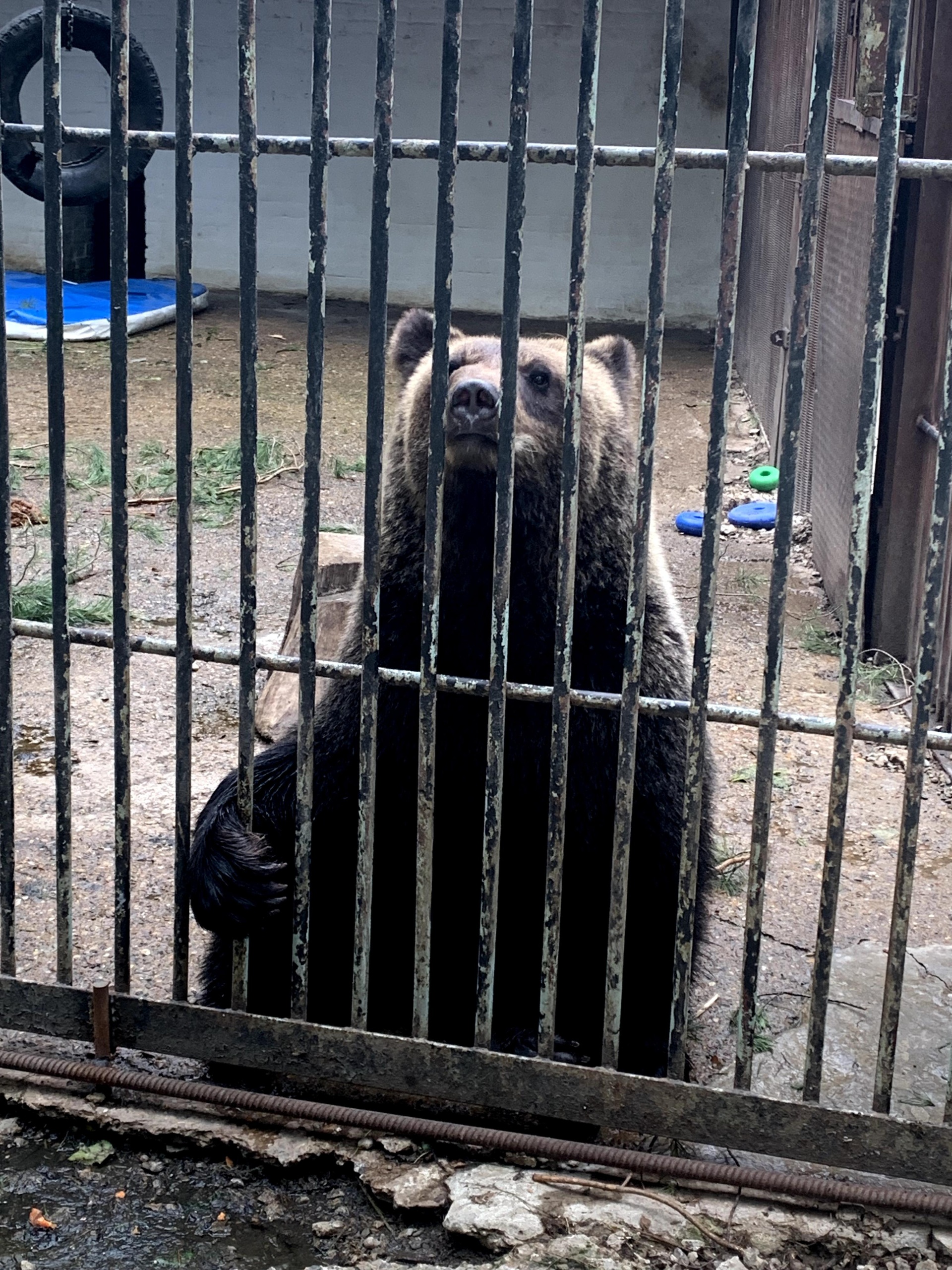 Природный зоологический парк, Карьерная улица, 5, Зеленогорск — 2ГИС