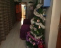 Dom hostel: отзыв от Дмитрий Бурнаков