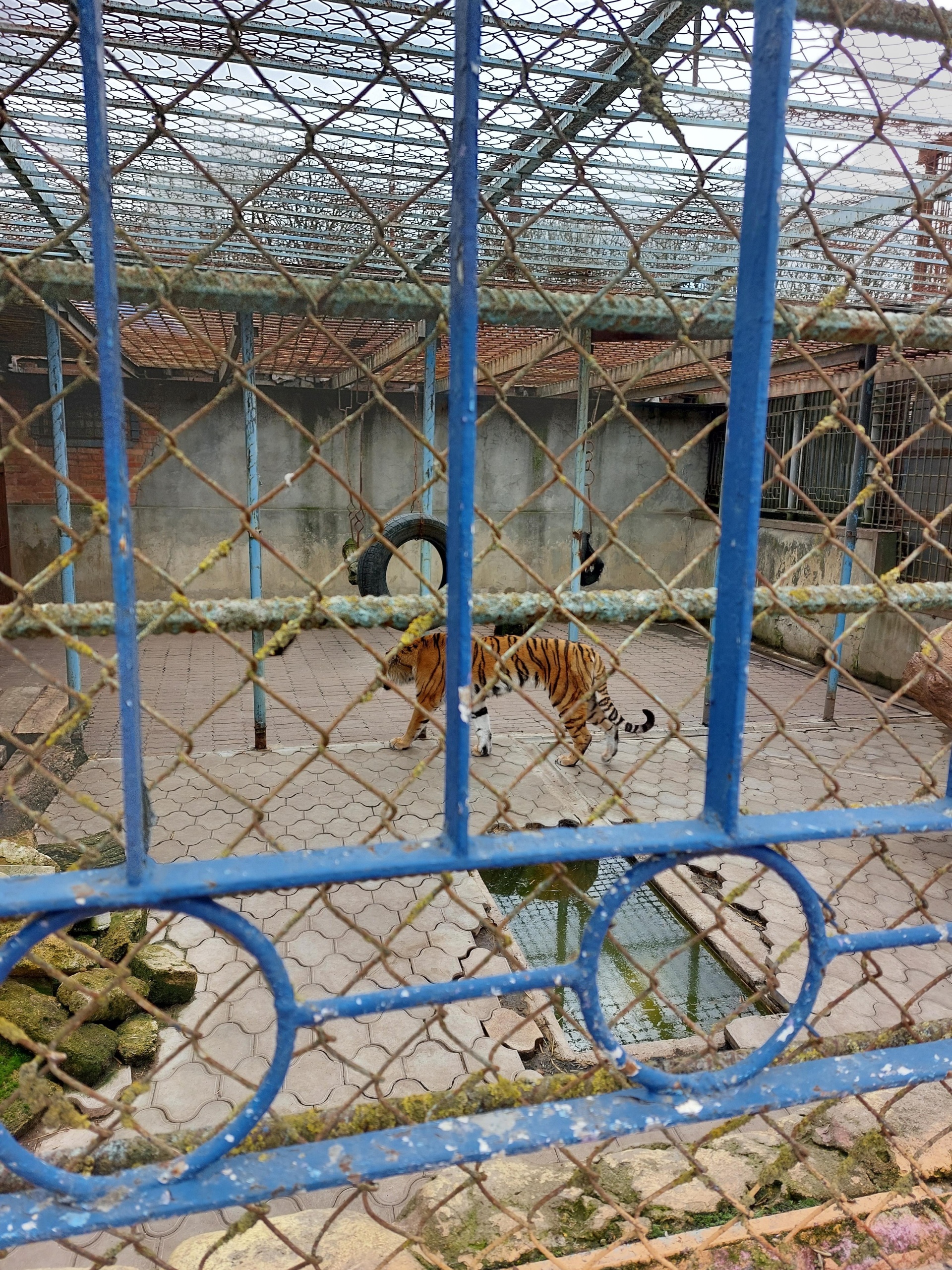 Зоопарк ставрополь парк
