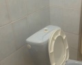 Улунга: отзыв от Татьяна Никишина