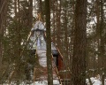Pine River: отзыв от Камила Астаркулова