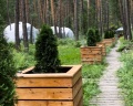 Royal Forest: отзыв от Джамиль Сингатуллов