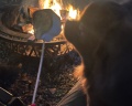 Lafa Glamp: отзыв от Musia Lapushka