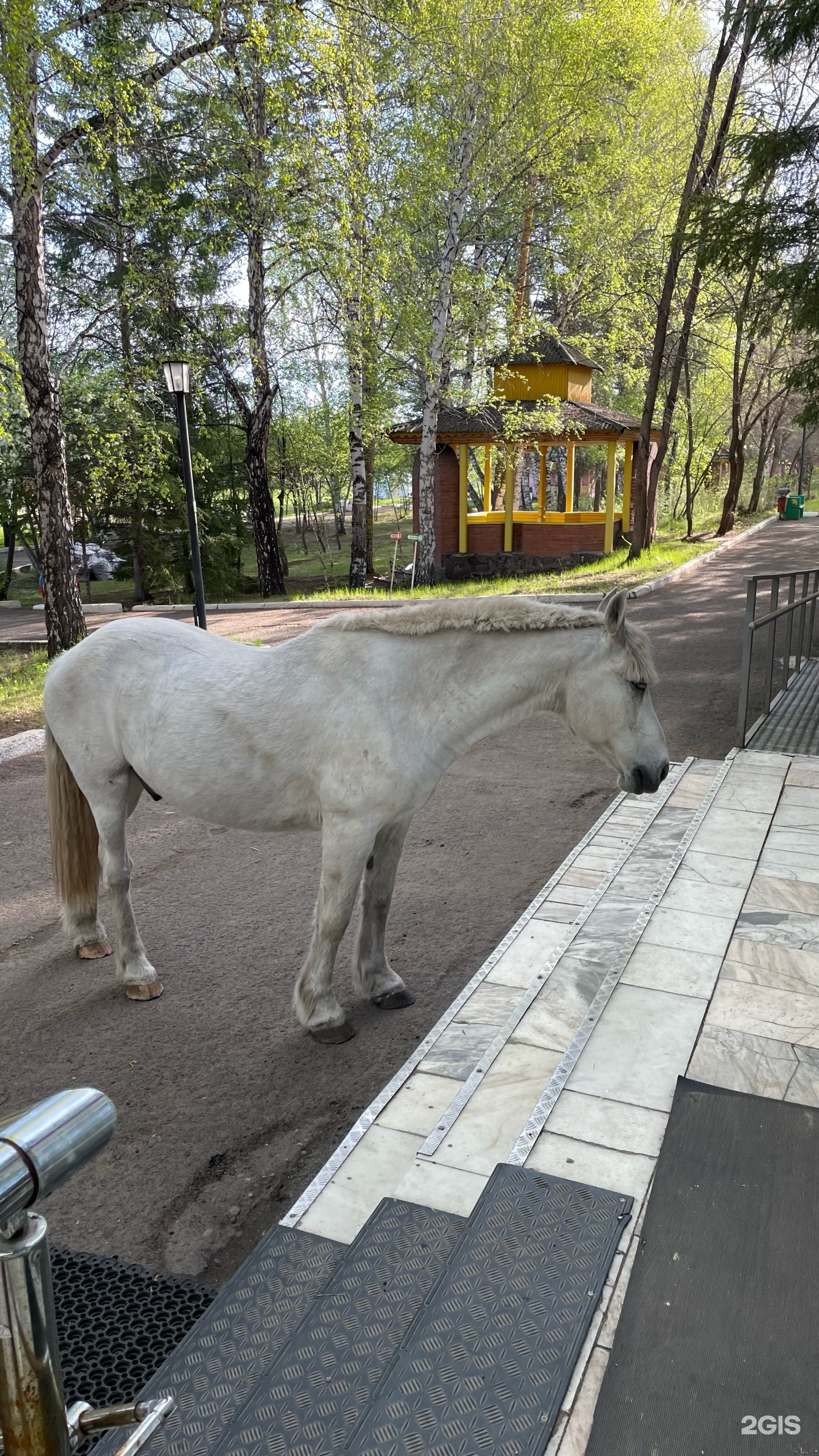 Сосновый бор, санаторий, Южный берег озера Тагарское, 1, пос. Озеро  Тагарское — 2ГИС