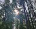 Vinder Village: отзыв от Sberid User