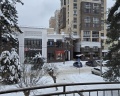 Псекупс: отзыв от Оксана А