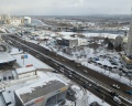 Золотое сечение: отзыв от Идеи и мысли Радкевич