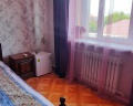 Спутник: отзыв от Роза Астра