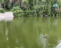 Русская охота: отзыв от Константин А