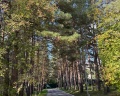 Борвиха hotel&SPA: отзыв от Елизавета Сорокина