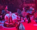 Цирк Чинизелли: отзыв от Наталия Васильева