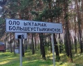 Сосновый бор: отзыв от сергей