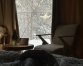 Loko Glamp: отзыв от Ольга Соколова