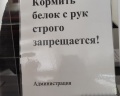Ливадия-Татарстан: отзыв от Constantly Me