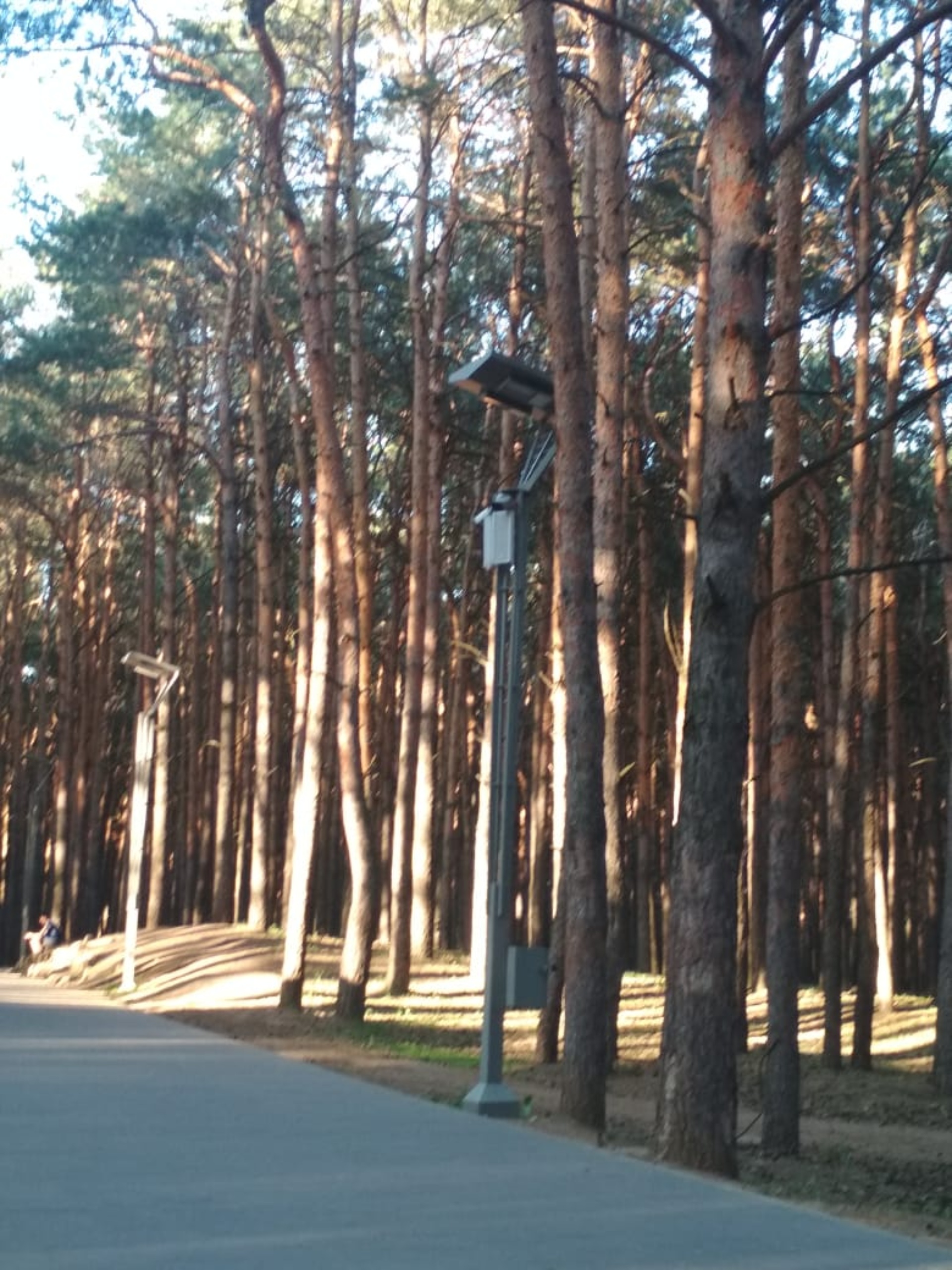 Отзывы о ПКО, Парк культуры и отдыха, Парковый переулок, 9а, Набережные  Челны - 2ГИС