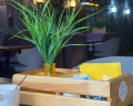 Central Hotel: отзыв от Яна С.