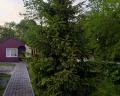 Лотос: отзыв от Фарида Гарипова