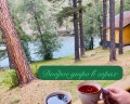 Шале Хвоя: отзыв от Ксю С.