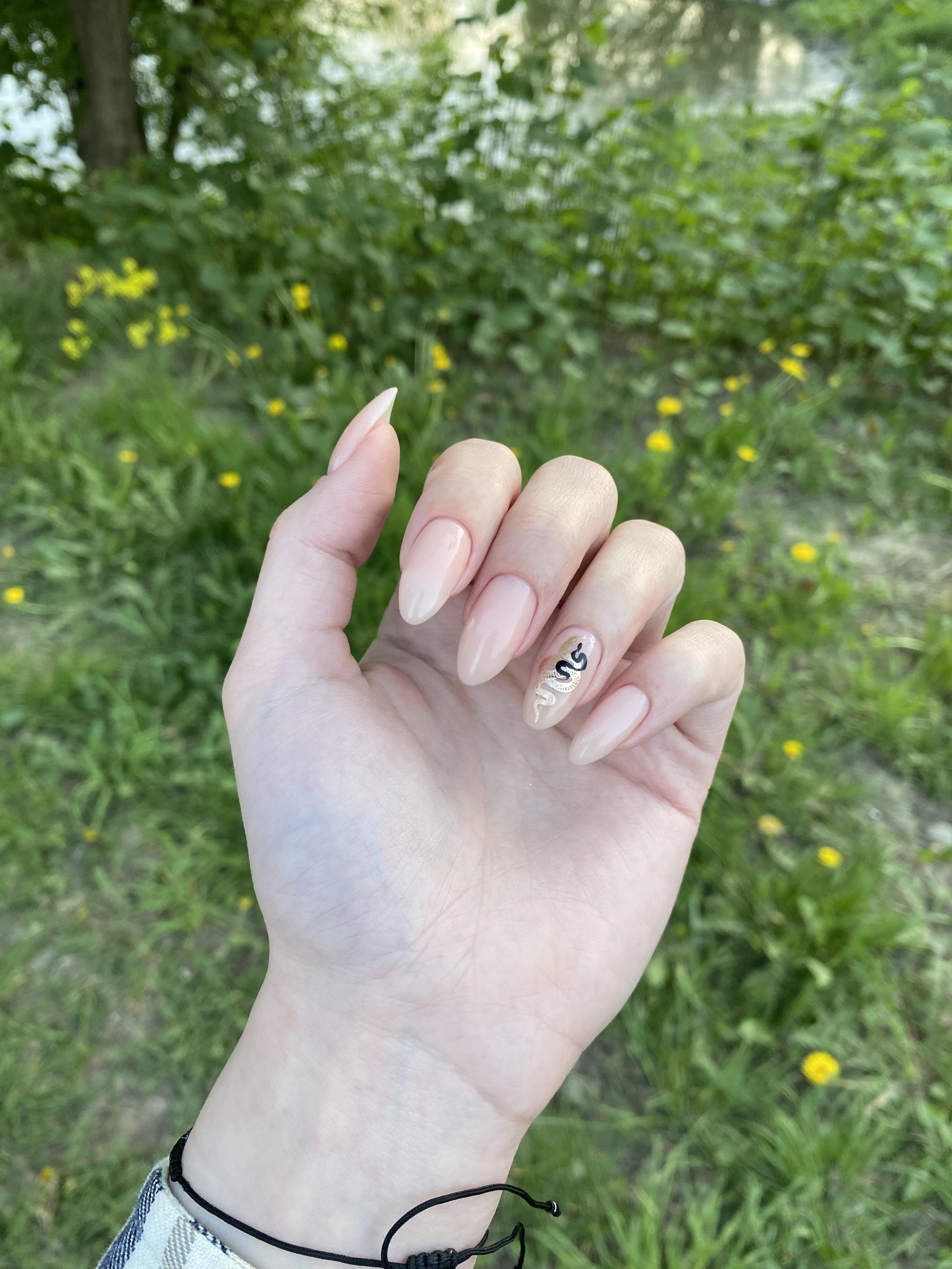 Barinails, студия красоты, проспект Пацаева, 7 к1, Долгопрудный — 2ГИС