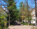 Trezzini: отзыв от Nika Стародубцева
