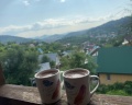 Чудесное место: отзыв от Катерина Смирнова