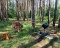 Сова: отзыв от ангелина .