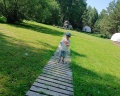 Loko Glamp: отзыв от Ната Одушева